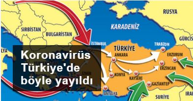 Koronavirüs Türkiye'de böyle yayıldı