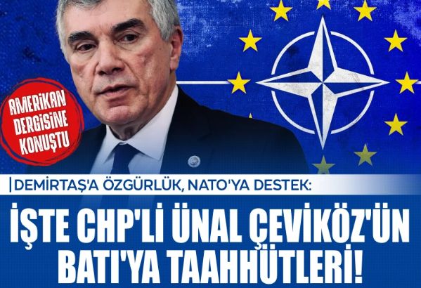 CHP'li Çeviköz'den Batı'ya taahhüt: Demirtaş'a özgürlük, NATO'ya destek!