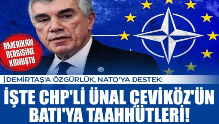 CHP'li Çeviköz'den Batı'ya taahhüt: Demirtaş'a özgürlük, NATO'ya destek!