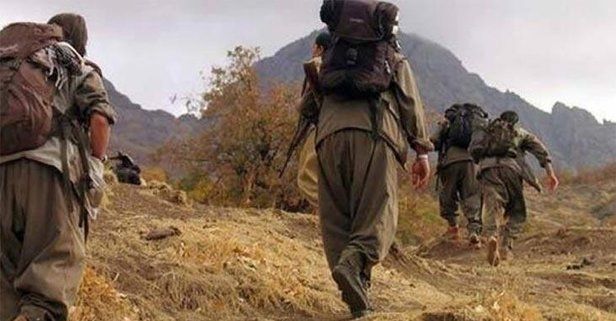 PKK'da çözülmeler devam ediyor! Van'da 2 terörist güvenlik güçlerine teslim oldu