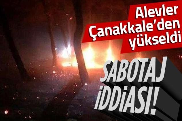 Çanakkale Ezine'deki orman yangınında 'sabotaj' iddiası