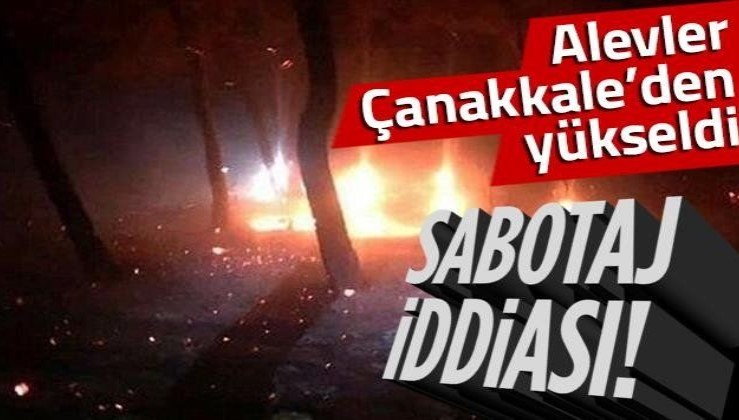 Çanakkale Ezine'deki orman yangınında 'sabotaj' iddiası