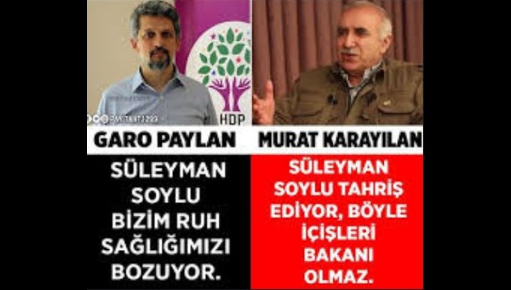 HDP'li Garo Paylan: "Süleyman Soylu bizim ruh sağlığımızı bozuyor"