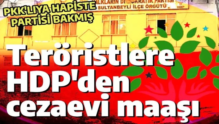 Teröristlere cezaevinde HDP bakıyor: Organize şekilde para gönderdiler