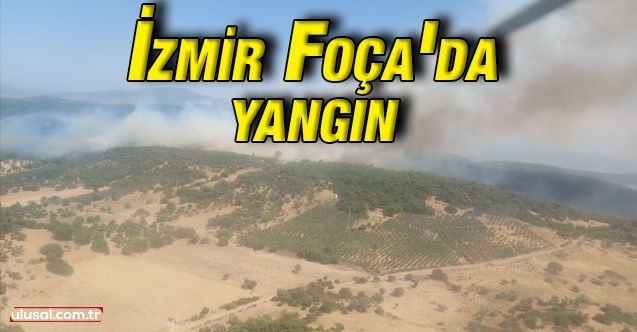 İzmir'in Foça ilçesinde yangın
