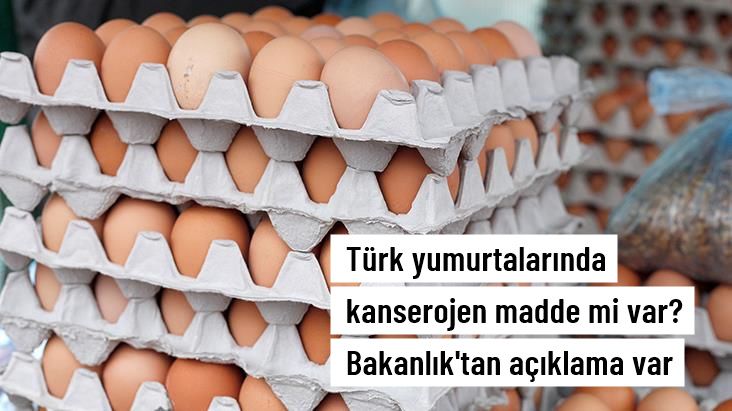 Tayvan'a İhraç Edilen Türk Yumurtaları Kanserojen Madde mi İçeriyor? Bakanlık soruşturma başlattı
