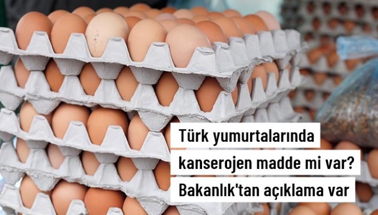 Tayvan'a İhraç Edilen Türk Yumurtaları Kanserojen Madde mi İçeriyor? Bakanlık soruşturma başlattı
