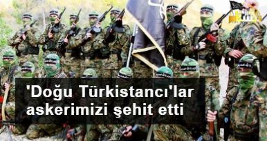 Mehmetçiğimizin katili: Türkistan İslam Partisi