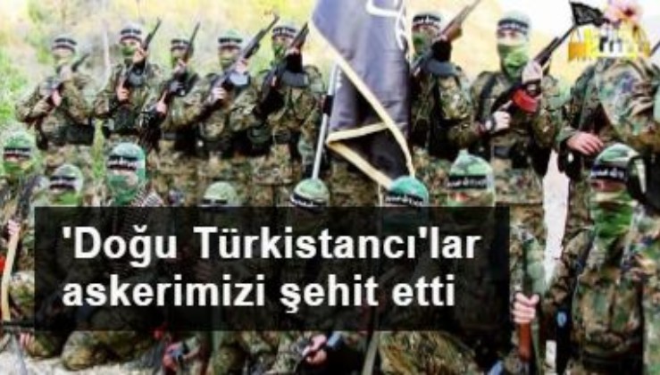 Mehmetçiğimizin katili: Türkistan İslam Partisi