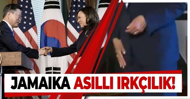 ABD Başkan Yardımcısı Kamala Harris, Güney Kore Devlet Başkanı Moon ile tokalaştıktan sonra elini üzerine sildi