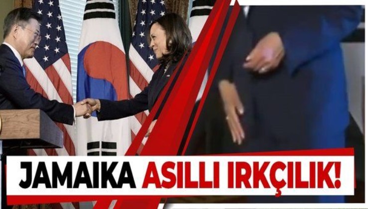 ABD Başkan Yardımcısı Kamala Harris, Güney Kore Devlet Başkanı Moon ile tokalaştıktan sonra elini üzerine sildi
