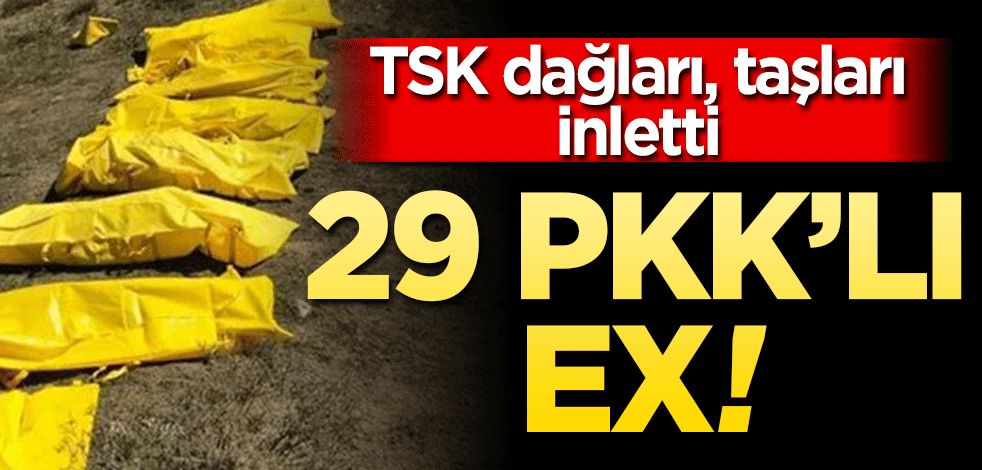 TSK dağları taşları inletti! 29 PKK’lı ex!