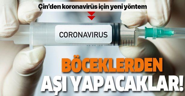 Çin böceklerden koronavirüs aşısı yapacak! Denemeler için onay geldi