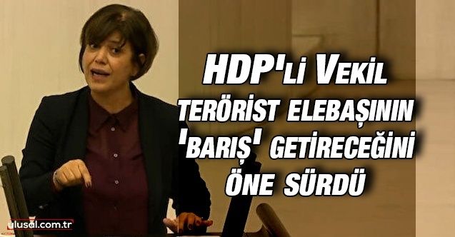 HDP'li Beştaş terörist elebaşı Öcalan'ın 'barış' getireceğini öne sürdü