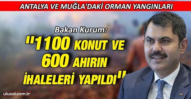 Bakan Kurum Antalya ve Muğla'daki orman yangınları hakkında konuştu: ''1100 konut ve 600 ahırın ihaleleri yapıldı''