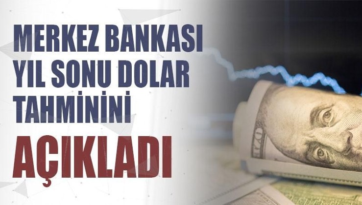 Merkez Bankası'nın yıl sonu dolar tahmini yükseldi