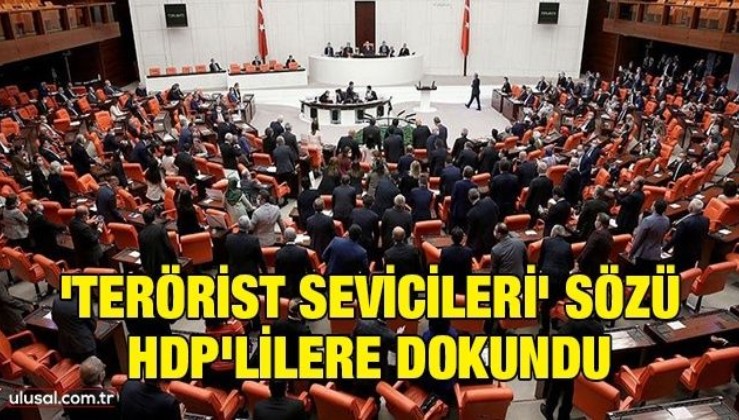 'Terörist sevicileri' sözü HDP'lilere dokundu