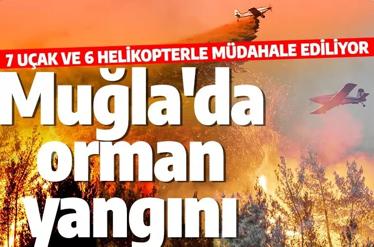 Son dakika: Muğla'da orman yangını! 7 uçak 6 helikopter bölgeye gönderildi