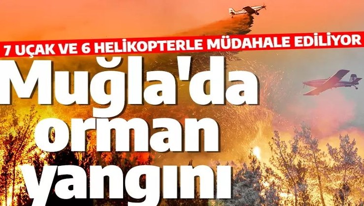 Son dakika: Muğla'da orman yangını! 7 uçak 6 helikopter bölgeye gönderildi