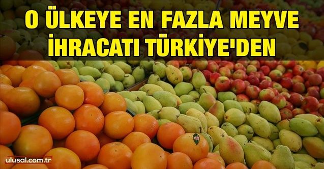 O ülkeye en fazla meyve ihracatı Türkiye'den