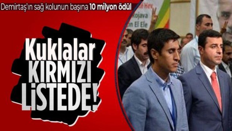 SON DAKİKA! Selahattin Demirtaş'ın sağ kolu Kamuran Yüksek ve eski HDP'li vekil Nadir Yıldırım kırmızı listede