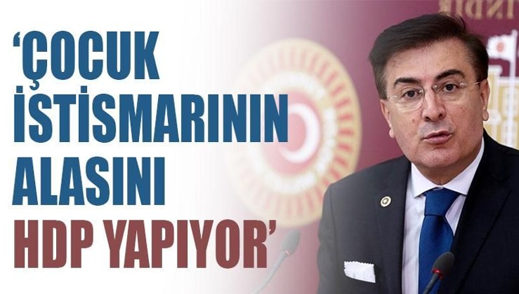 Ak Parti Erzurum Milletvekili İbrahim Aydemir: Çocuk istismarının alasını HDP yapıyor