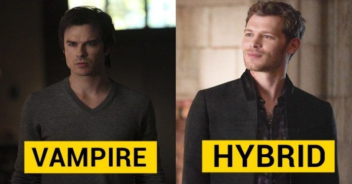 Do You Belong In The Originals Or In The Vampire Diaries?