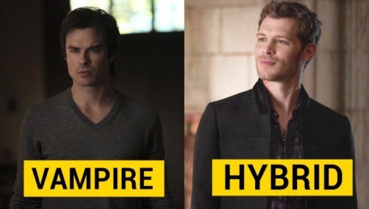 Do You Belong In The Originals Or In The Vampire Diaries?