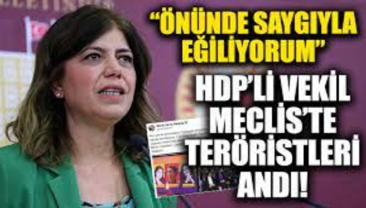 HDP'li Beştaş Meclis'te PKK'nın kurucularından Sakine Cansız'ı andı