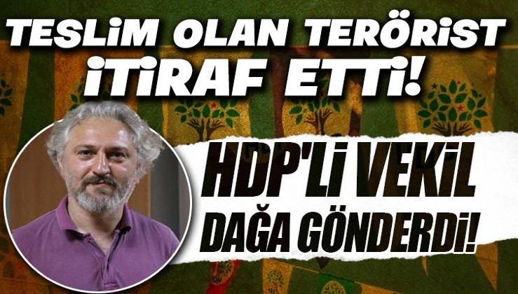 Teslim olan terörist itiraf etti: HDP'li vekil, dağa gönderdi