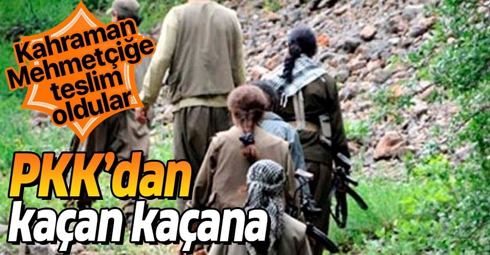 Son dakika: 5 PKK'lı terörist Mehmetçiğe teslim oldu