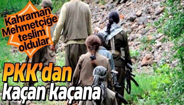 Son dakika: 5 PKK'lı terörist Mehmetçiğe teslim oldu
