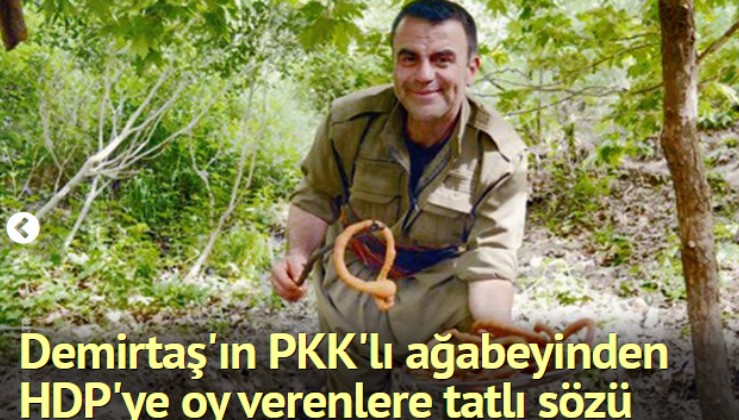 Demirtaş'ın PKK'lı ağabeyinden HDP'ye oy verenlere tatlı sözü