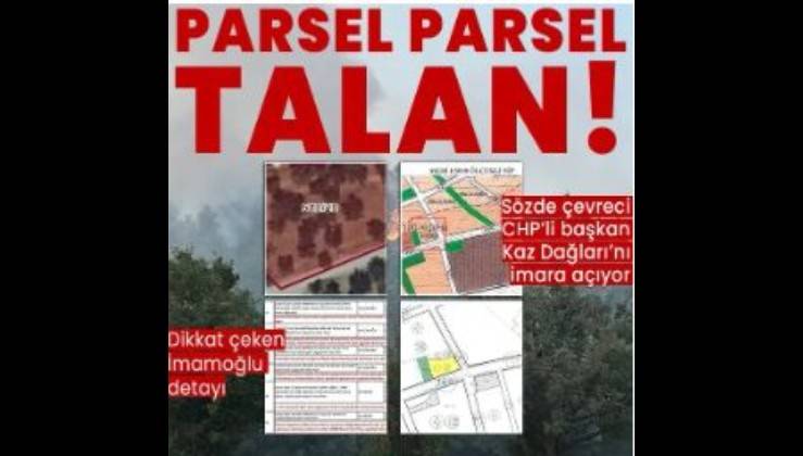 Balıkesir Büyükşehir Belediye Başkanı Ahmet Akın Kaz Dağları'nı talan ediyor! Zeytinlikler imara açıldı