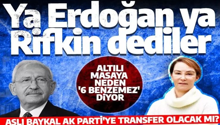 Aslı Baykal'dan CHP'ye bombardıman: Ya Tayyip Erdoğan ya Rifkin dediler