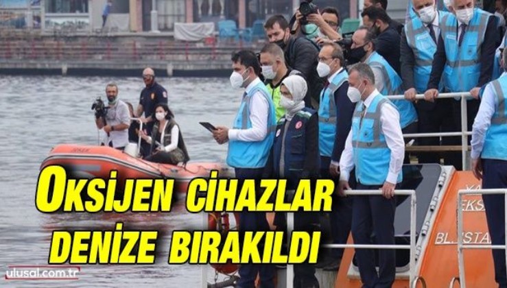 Marmara Denizi'ne oksijen seviyesini artıracak cihazlar bırakıldı