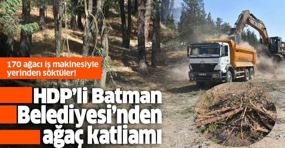 HDP’li Batman Belediyesi’nden ağaç katliamı.