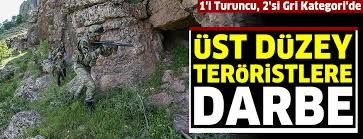 Son dakika: Terör örgütü PKK'ya ağır darbe: 1'i Turuncu, 2'si Gri Kategori'de 5 terörist etkisiz hale getirildi