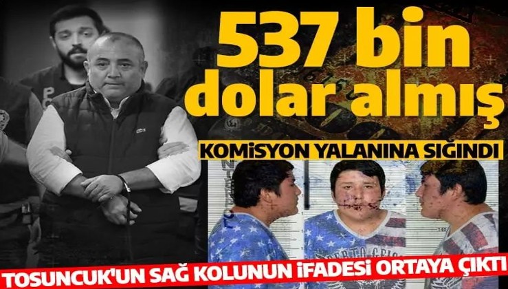 Tosuncuk'un işlerini yürüten Osman Naim Kaya'nın ifadesi ortaya çıktı! 537 bin dolar almış