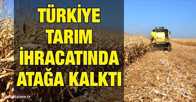 Türkiye tarım ihracatında atağa kalktı