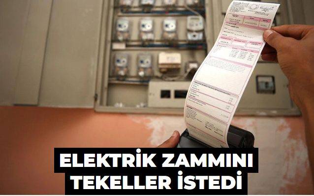 Elektrik zammını tekeller istedi