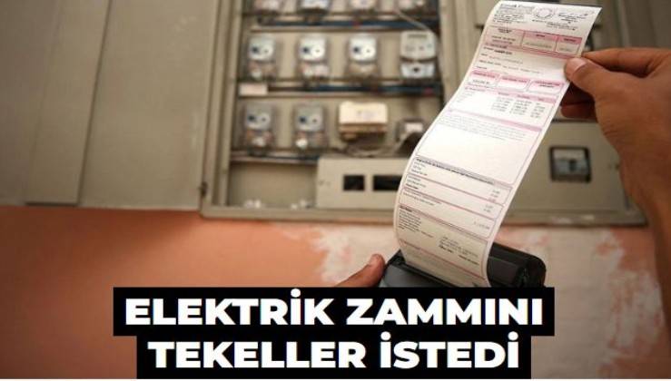 Elektrik zammını tekeller istedi