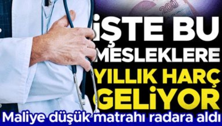 Maliye’den düşük matrah beyan eden mesleklere yıllık harç zorunluluğu… Doktora emlakçıya ‘yıllık harç’ geliyor