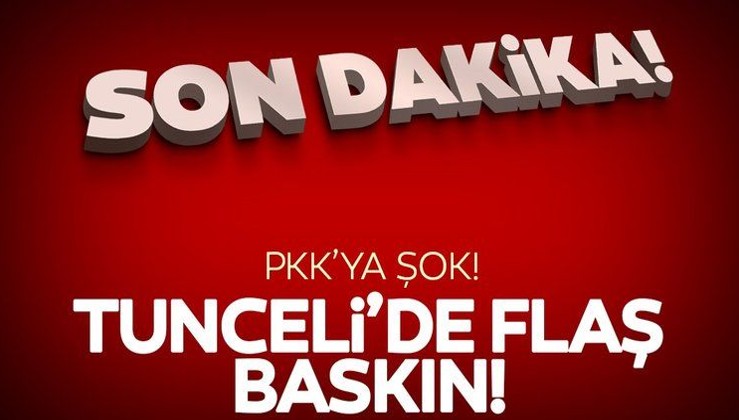 Tunceli'de PKK operasyonu: 7 gözaltı