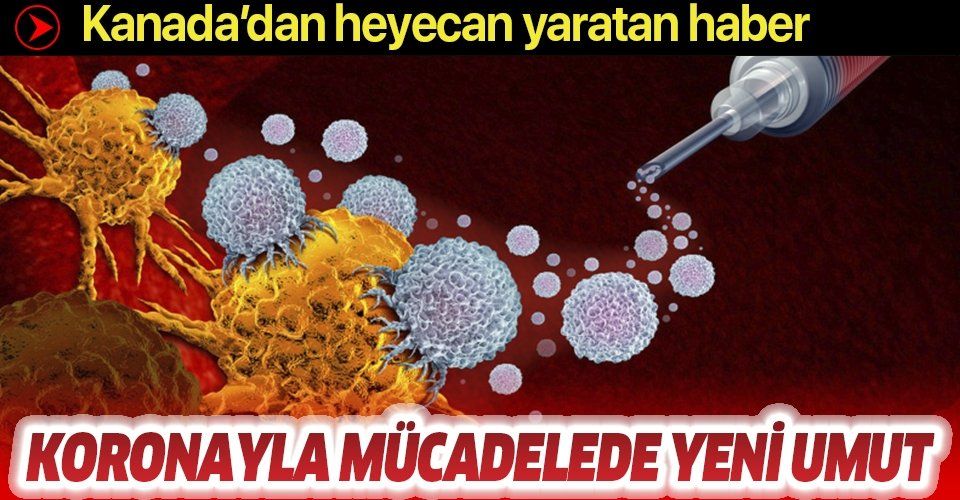 Koronavirüsle mücadelede yeni umut: Kanada'da Kovid19'a karşı özel bir diyaliz tedavisi geliştirildi