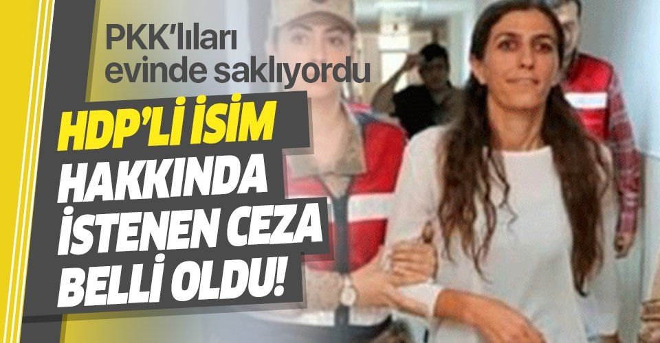 PKK'lıları evinde saklıyordu! HDP'li ismin cezası belli oldu!.