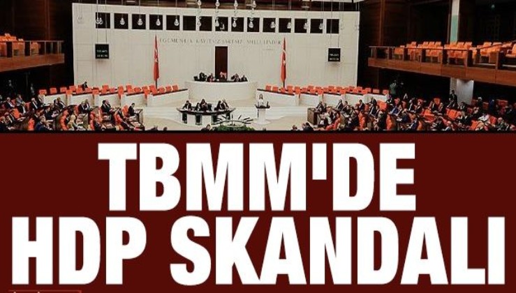 TBMM'de HDP skandalı