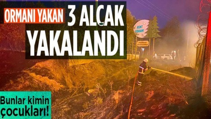 Diyarbakır'da ormanlık alanı yakan 3 şüpheli yakalandı!