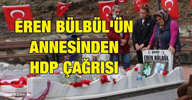 Eren Bülbül'ün annesinden HDP çağrısı