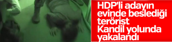 HDP milletvekili adayının evindeki PKK'lı yakalandı